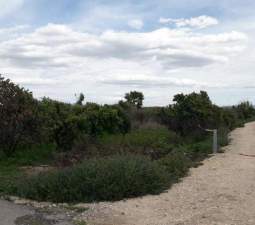 No Urbanizable Rstico en venta  en Pasaje Fondos Alberic Valencia