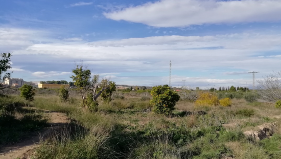 Se oferta finca rstica en cparaje huerto naranjos en Murcia por 40000 con 1023m