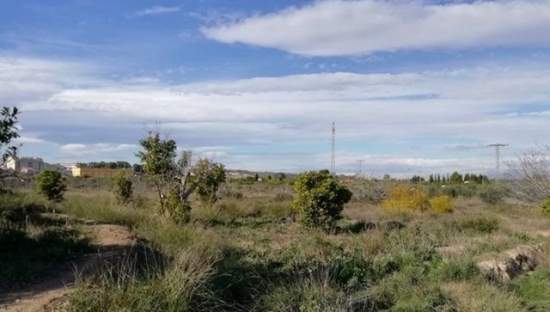 Se oferta finca rstica en cparaje huerto naranjos en Murcia por 40000 con 1023m