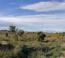 Se oferta finca rstica en cparaje huerto naranjos en Murcia por 40000 con 1023m