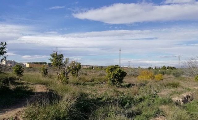 Se oferta finca rstica en cparaje huerto naranjos en Murcia por 40000 con 1023m