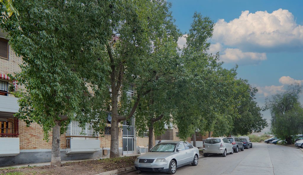 Piso en venta en Calle Albaricoque Murcia Murcia