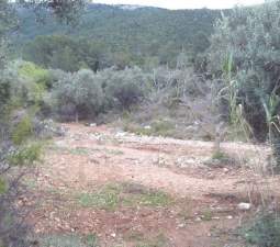 No Urbanizable Rstico en venta  en  Tierra De Secanopartida Balsa Blanca Sierra Engarcern Castelln