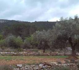No Urbanizable Rstico en venta  en  Tierra De Secanopartida Balsa Blanca Sierra Engarcern Castelln