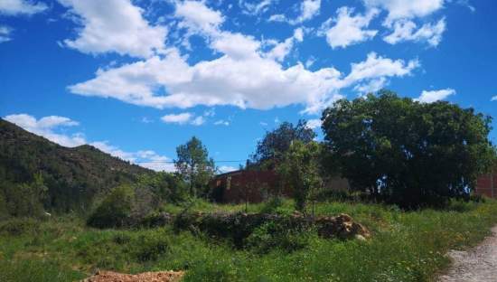 Urbanizable Programado en venta  en Camino Pedralba Sueras Castelln