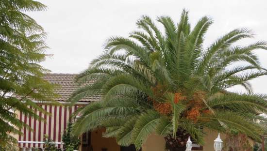 Chalet en Vilamarxant Valencia