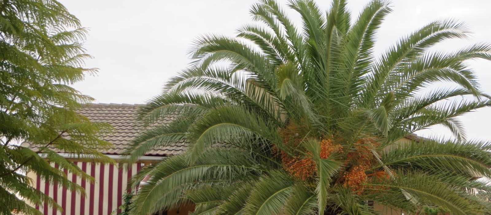 Chalet en Vilamarxant Valencia