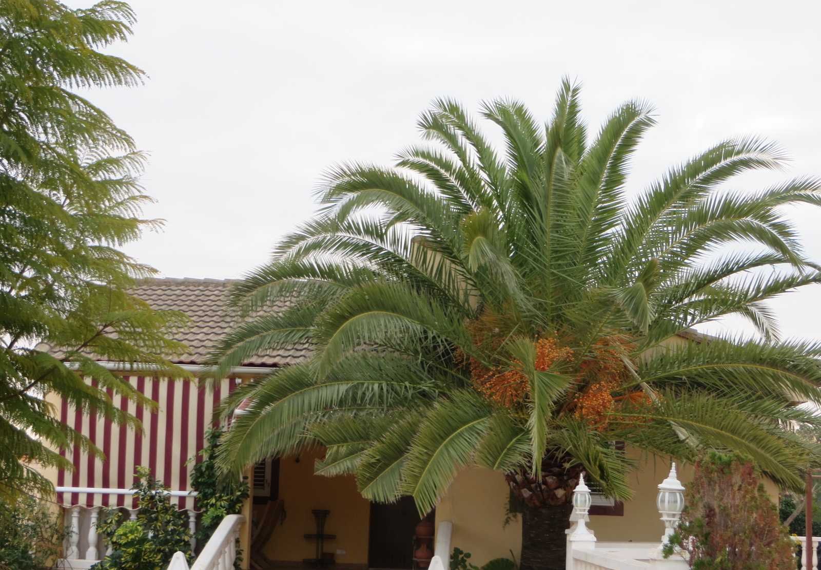 Chalet en Vilamarxant Valencia