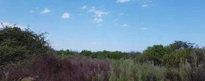 Solar en venta en Calle Seit, Baj, 12520, Nules Castellón