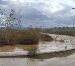 Urbano Solar en venta  en Polgono Las Pullas Alguazas Murcia