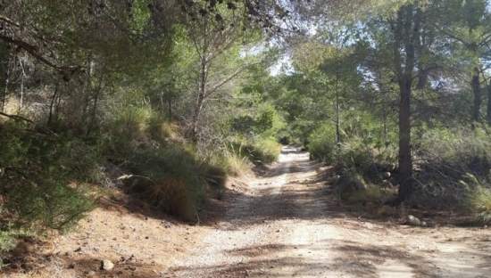 Finca rústica en venta por 119.000 de 99m en ctosal aguilas-central-19 VillajoyosaVila Joiosa la