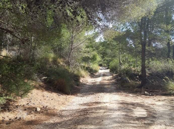 Finca rústica en venta por 119.000 de 99m en ctosal aguilas-central-19 VillajoyosaVila Joiosa la