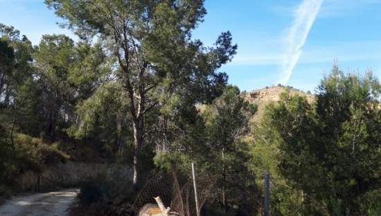 Finca rústica en venta por 119.000 de 99m en ctosal aguilas-central-19 VillajoyosaVila Joiosa la