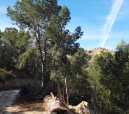 Finca rústica en venta por 119.000 de 99m en ctosal aguilas-central-19 VillajoyosaVila Joiosa la