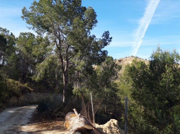 Finca rústica en venta por 119.000 de 99m en ctosal aguilas-central-19 VillajoyosaVila Joiosa la