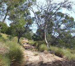 Finca rústica en venta por 119.000 de 99m en ctosal aguilas-central-19 VillajoyosaVila Joiosa la
