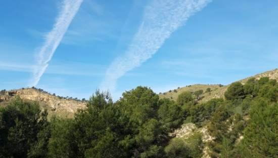 Finca rústica en venta por 119.000 de 99m en ctosal aguilas-central-19 VillajoyosaVila Joiosa la