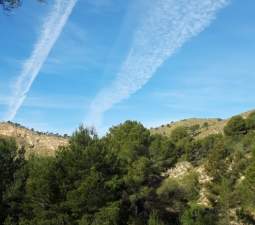 Finca rústica en venta por 119.000 de 99m en ctosal aguilas-central-19 VillajoyosaVila Joiosa la