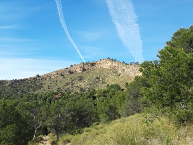 Finca rústica en venta por 119.000 de 99m en ctosal aguilas-central-19 VillajoyosaVila Joiosa la