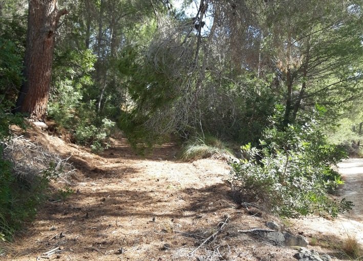 Finca rústica en venta por 119.000 de 99m en ctosal aguilas-central-19 VillajoyosaVila Joiosa la