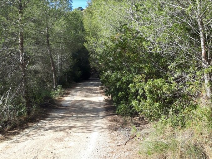 Finca rústica en venta por 119.000 de 99m en ctosal aguilas-central-19 VillajoyosaVila Joiosa la