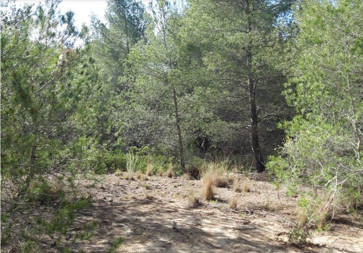 Finca rústica en venta por 119.000 de 99m en ctosal aguilas-central-19 VillajoyosaVila Joiosa la