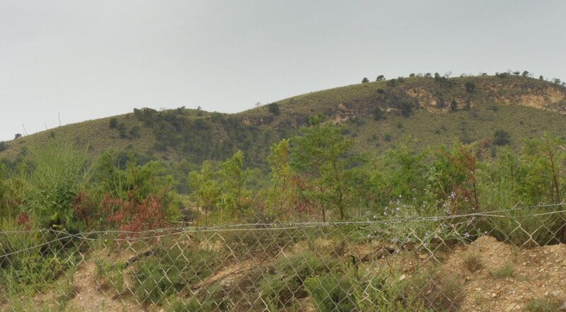 Finca rústica en venta por 119.000 de 99m en ctosal aguilas-central-19 VillajoyosaVila Joiosa la