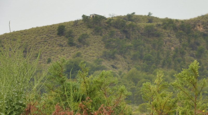 Finca rústica en venta por 119.000 de 99m en ctosal aguilas-central-19 VillajoyosaVila Joiosa la