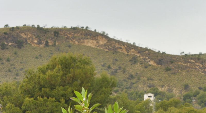 Finca rústica en venta por 119.000 de 99m en ctosal aguilas-central-19 VillajoyosaVila Joiosa la