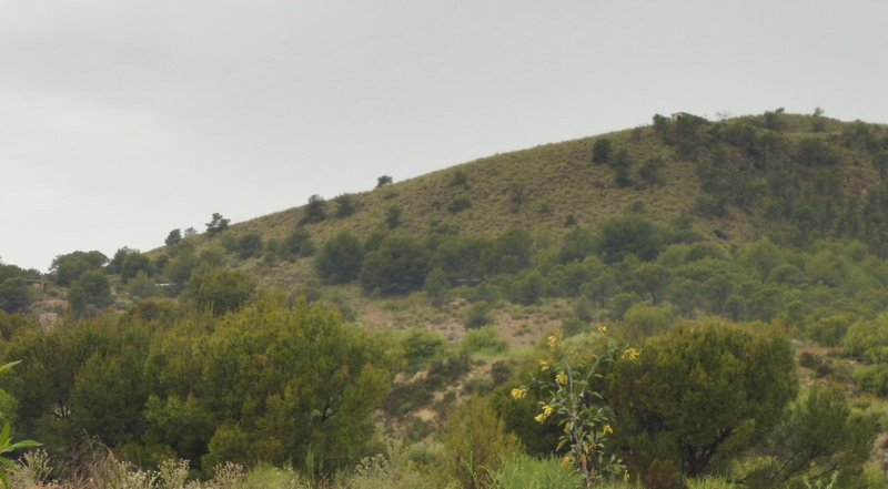 Finca rústica en venta por 119.000 de 99m en ctosal aguilas-central-19 VillajoyosaVila Joiosa la