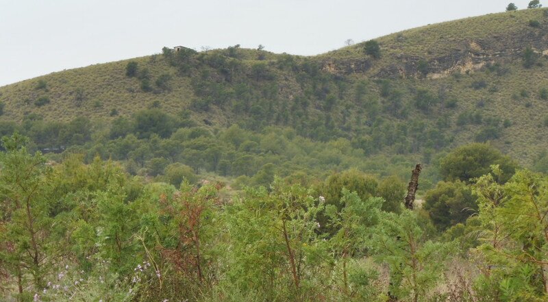 Finca rústica en venta por 119.000 de 99m en ctosal aguilas-central-19 VillajoyosaVila Joiosa la