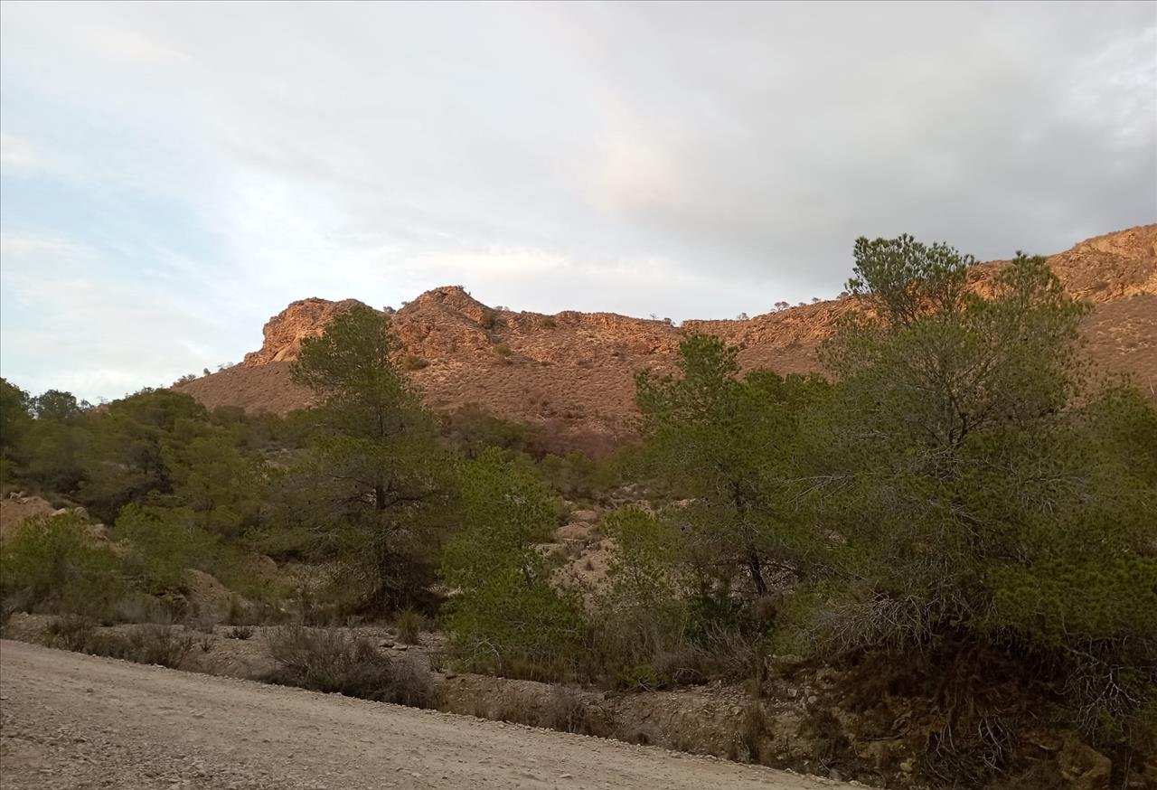 Finca rústica en venta por 119.000 de 99m en ctosal aguilas-central-19 VillajoyosaVila Joiosa la
