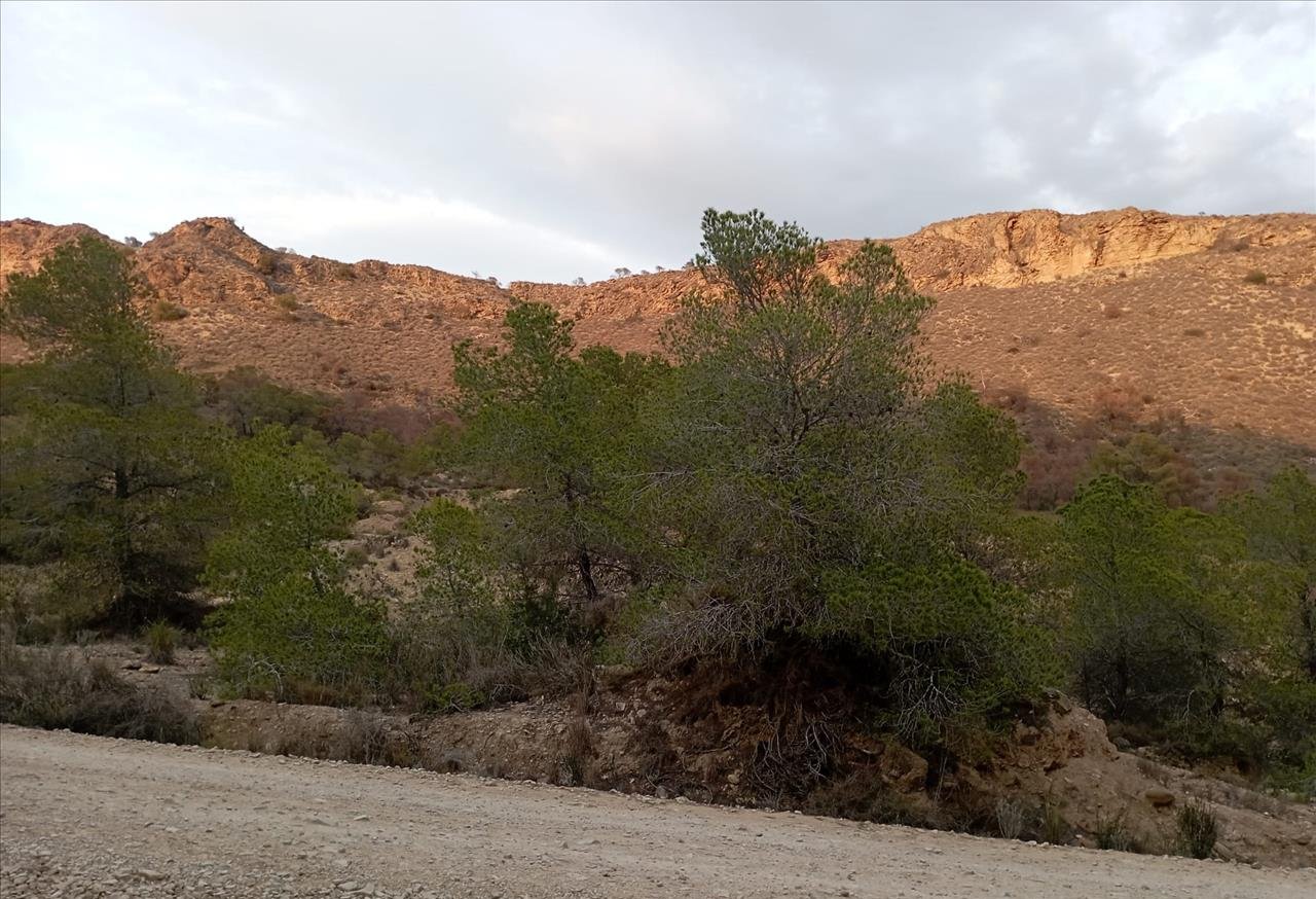 Finca rústica en venta por 119.000 de 99m en ctosal aguilas-central-19 VillajoyosaVila Joiosa la