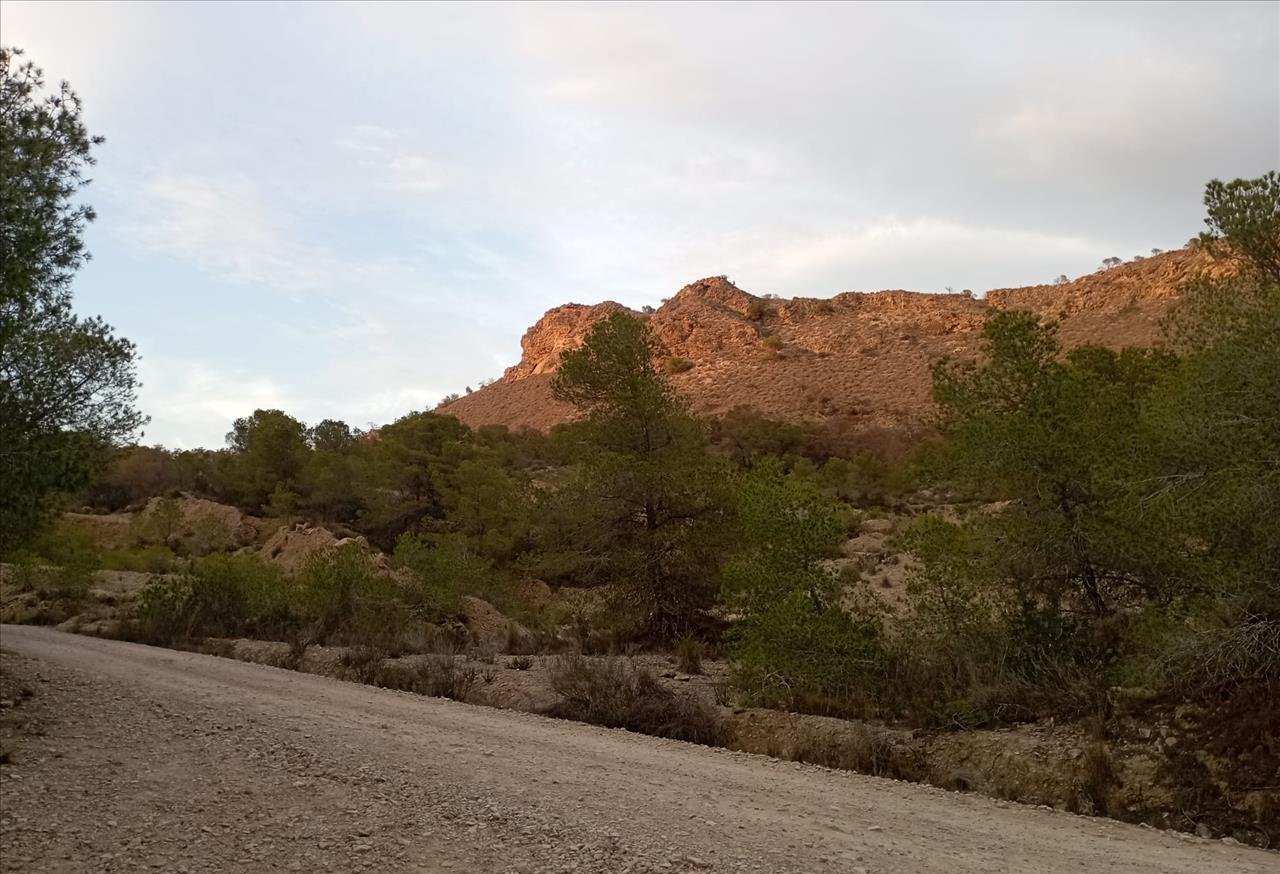 Finca rústica en venta por 119.000 de 99m en ctosal aguilas-central-19 VillajoyosaVila Joiosa la