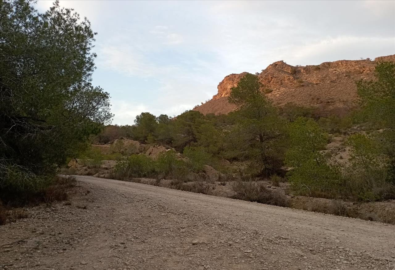 Finca rústica en venta por 119.000 de 99m en ctosal aguilas-central-19 VillajoyosaVila Joiosa la