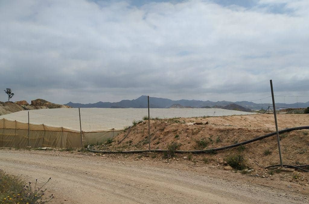 No Urbanizable en venta  en Calle La Pedreras-Los Llanicos Mazarrn Murcia