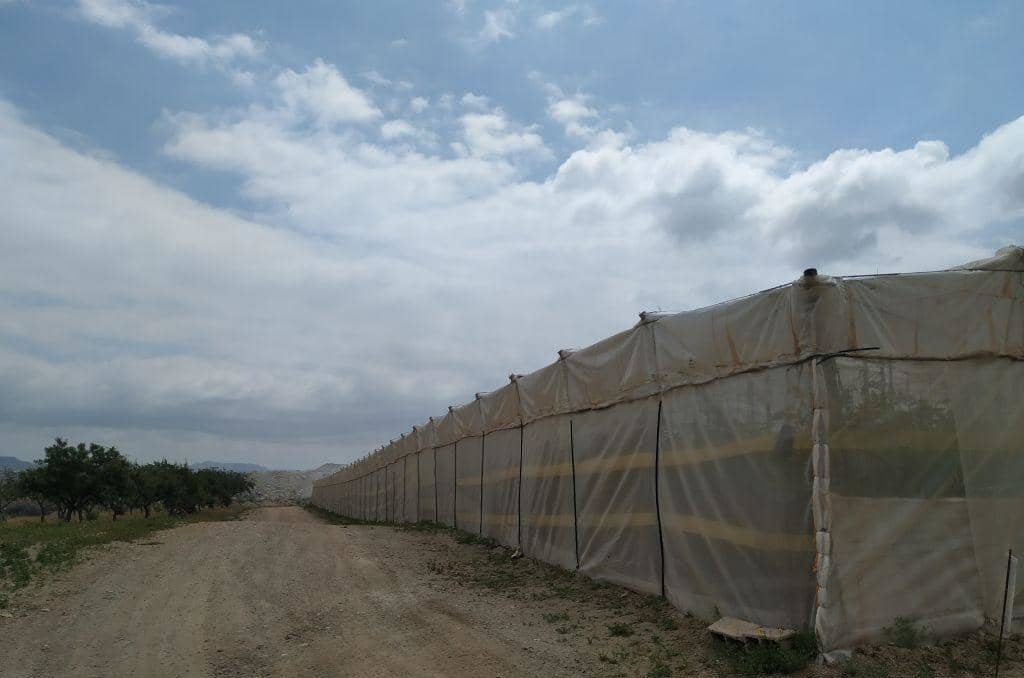 No Urbanizable en venta  en Calle La Pedreras-Los Llanicos Mazarrn Murcia