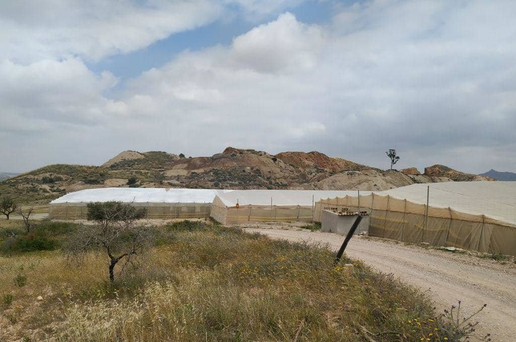 No Urbanizable en venta  en Calle La Pedreras-Los Llanicos Mazarrn Murcia