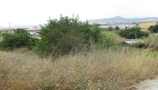 Otros en venta en CALLE GENOVES, X?TIVA