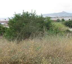 Otros en venta en CALLE GENOVES, X?TIVA