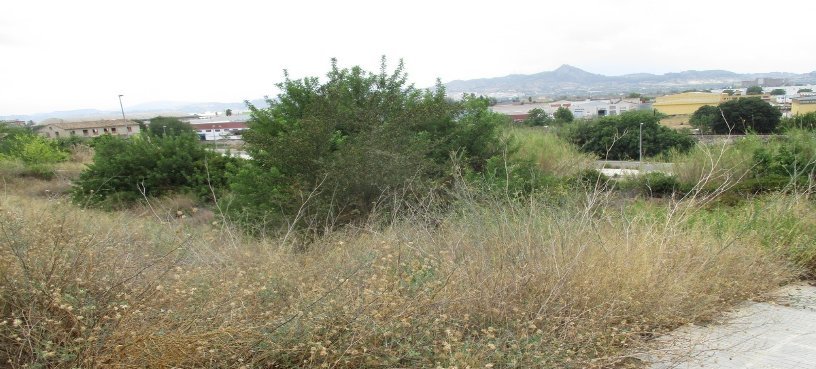Otros en venta en CALLE GENOVES, X?TIVA