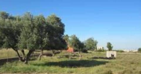 Suelo Rstico No Urbanizable en venta en Polgono 118 Parcela 73 Castelln De La Plana Castelln
