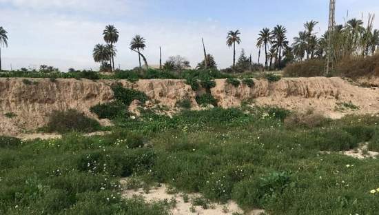Suelo urbano idustrial en venta por 26000 de 1323m en cpartida de algors en ElcheElx