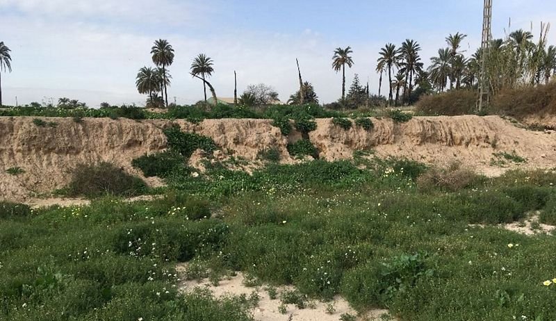 Suelo urbano idustrial en venta por 26000 de 1323m en cpartida de algors en ElcheElx
