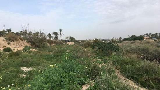 Suelo urbano idustrial en venta por 26000 de 1323m en cpartida de algors en ElcheElx