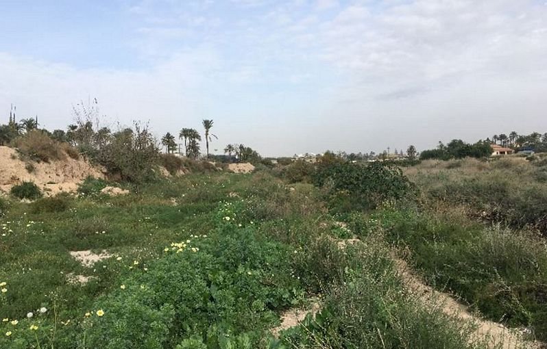 Suelo urbano idustrial en venta por 26000 de 1323m en cpartida de algors en ElcheElx