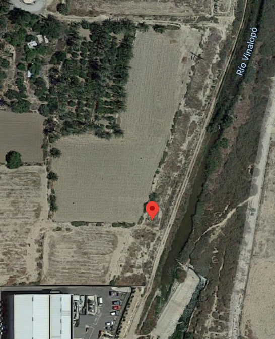 Suelo urbano idustrial en venta por 26000 de 1323m en cpartida de algors en ElcheElx