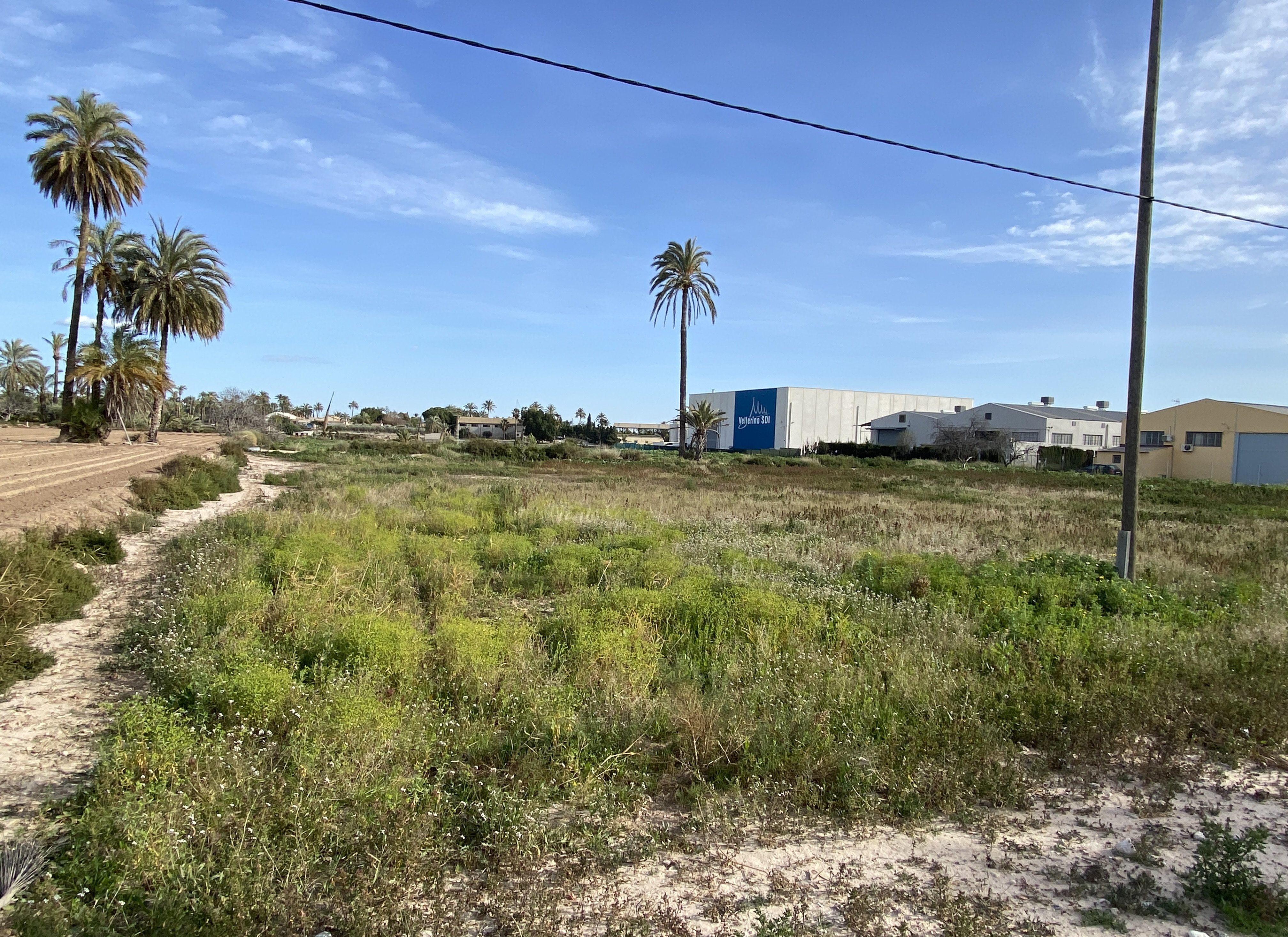 Suelo urbano idustrial en venta por 26000 de 1323m en cpartida de algors en ElcheElx