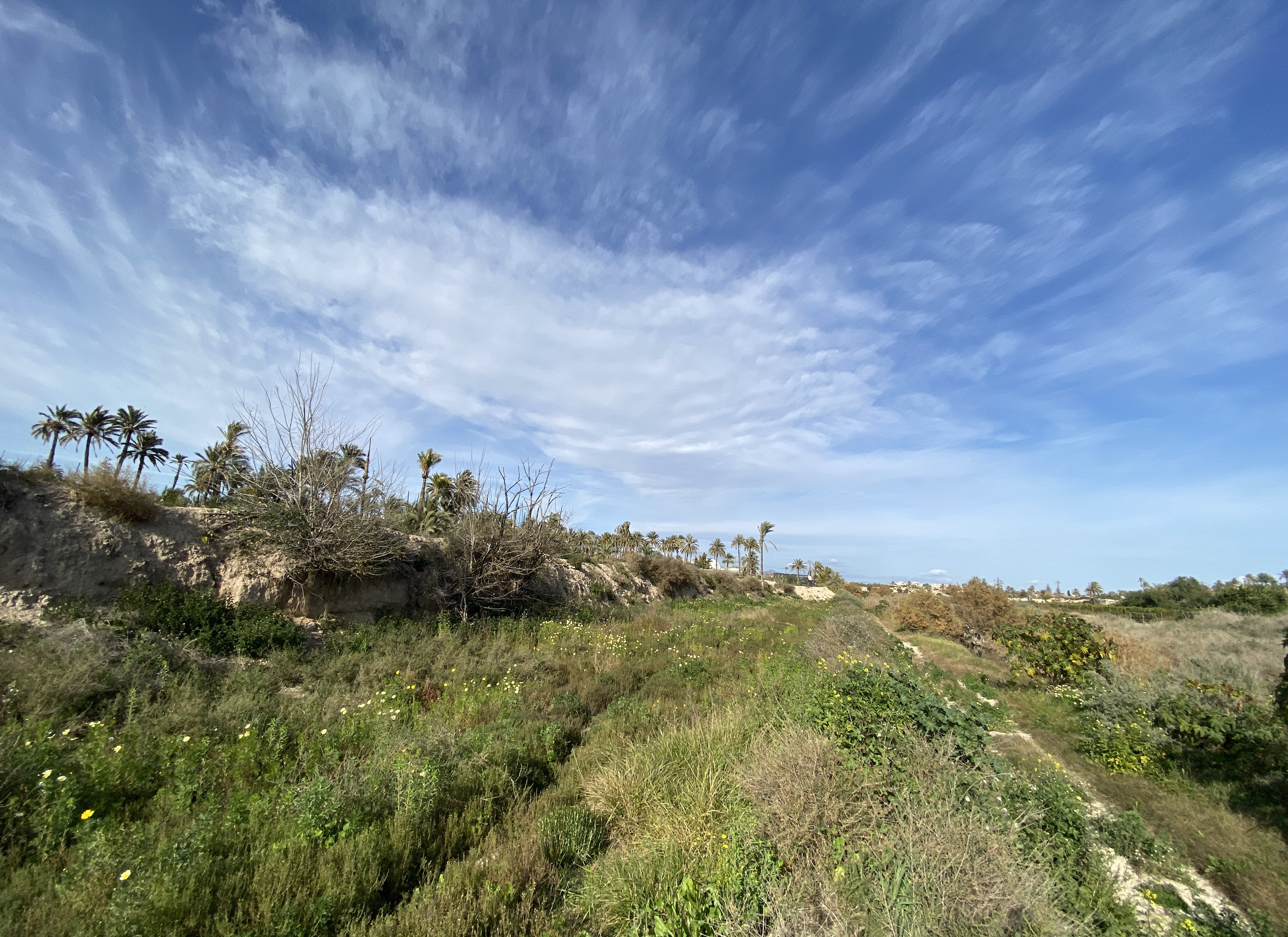 Suelo urbano idustrial en venta por 26000 de 1323m en cpartida de algors en ElcheElx
