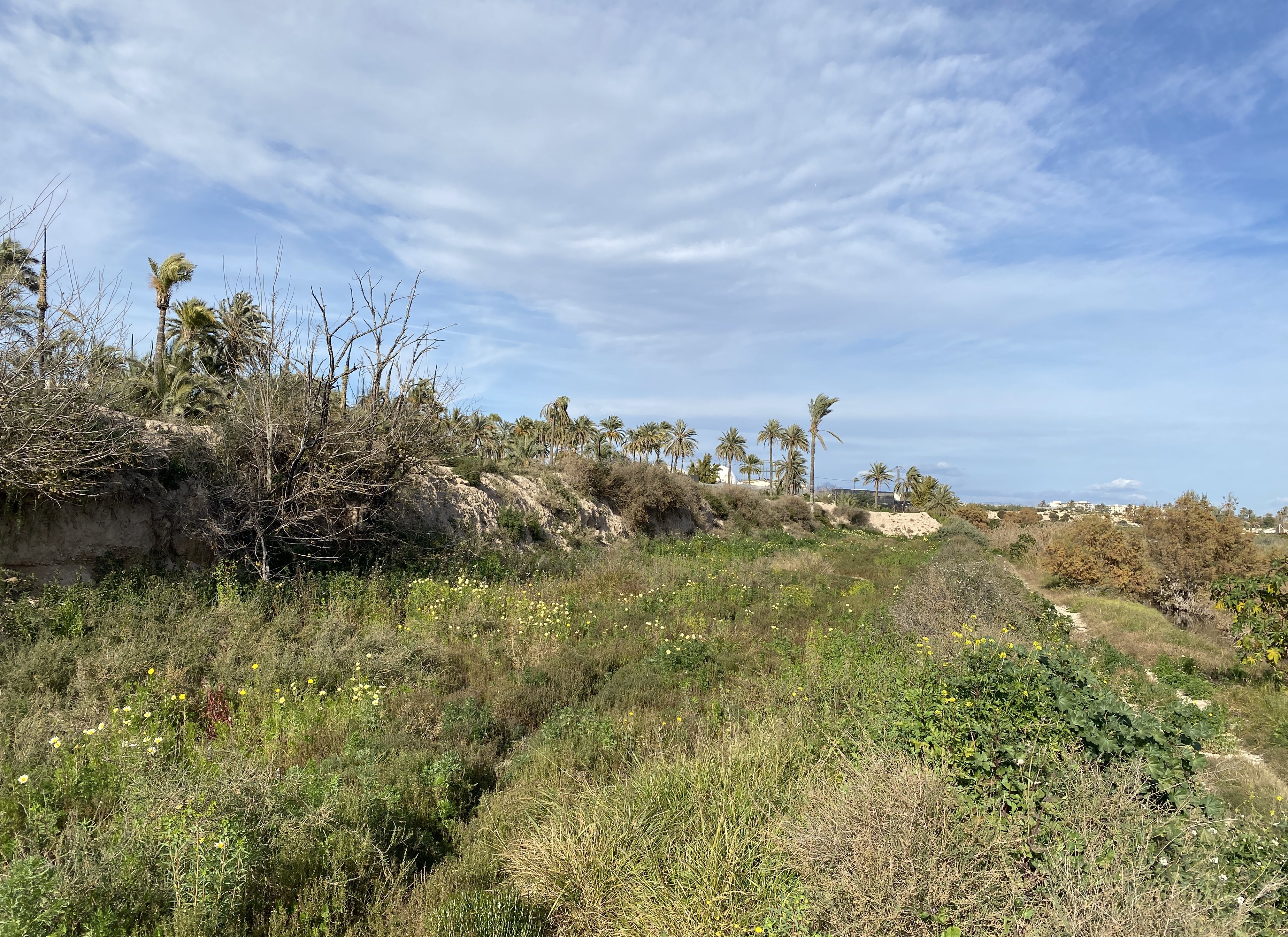 Suelo urbano idustrial en venta por 26000 de 1323m en cpartida de algors en ElcheElx